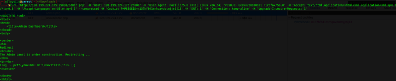 curl output